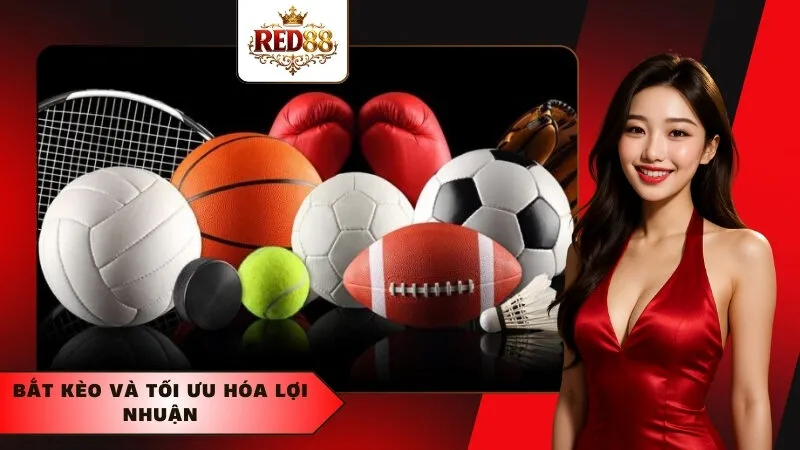 Bắt kèo và tối ưu hóa lợi nhuận